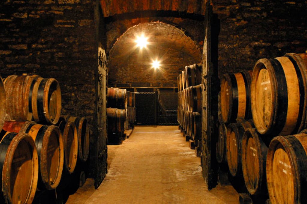 bourgogne бургундия вино бордо гид экскурсия тур фрнация